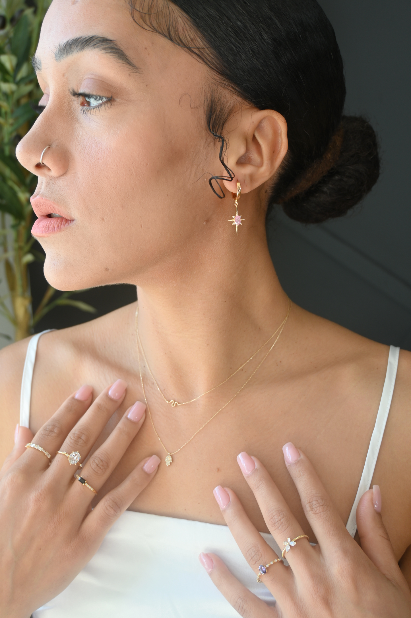 Hamsa